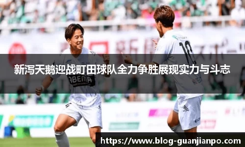 新泻天鹅迎战町田球队全力争胜展现实力与斗志