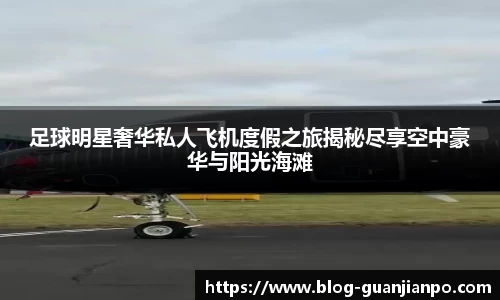 足球明星奢华私人飞机度假之旅揭秘尽享空中豪华与阳光海滩